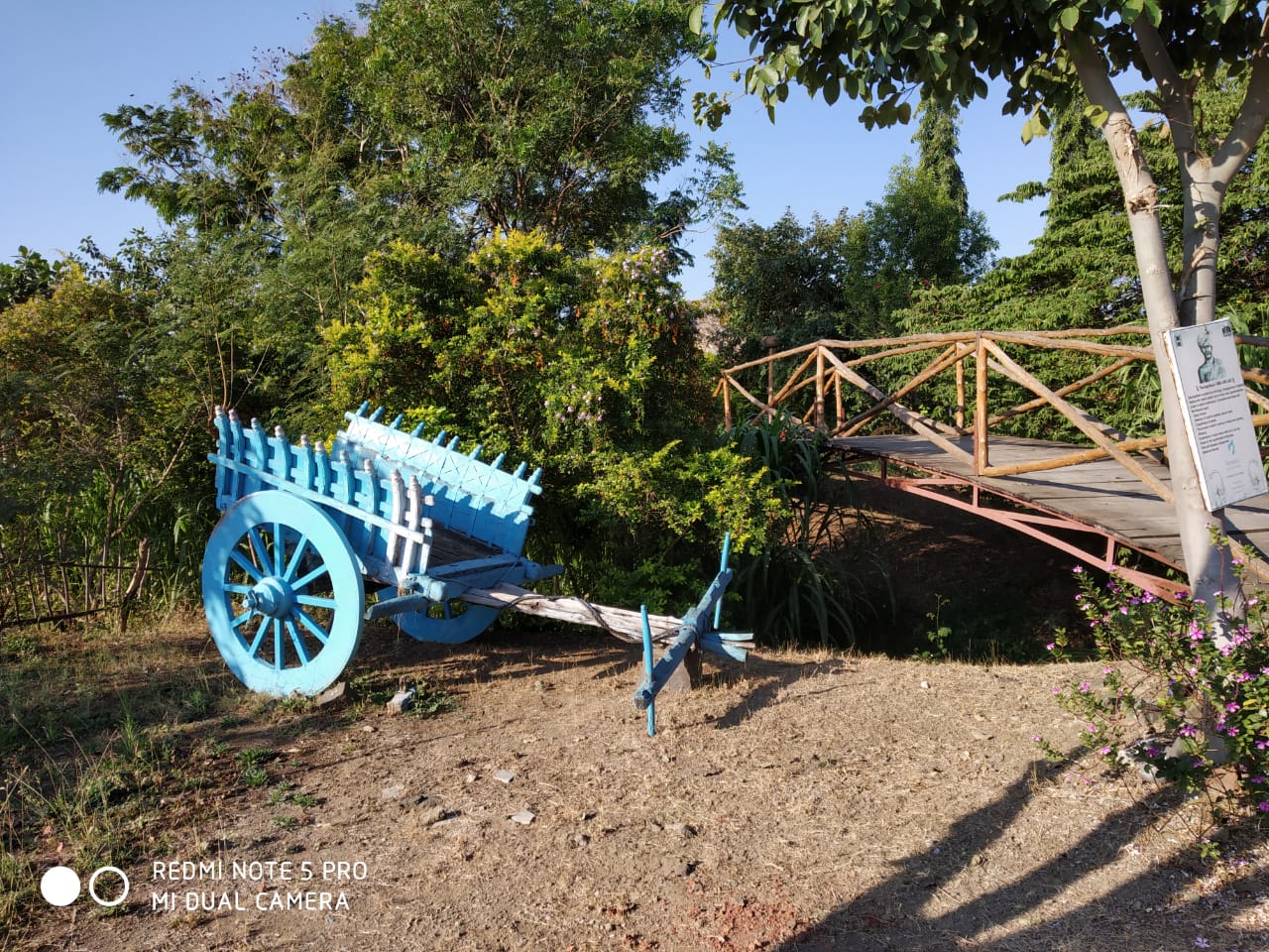 खरीप पिकाच्या पेरणी क्षेत्रामध्ये लक्षणीय वृद्धी