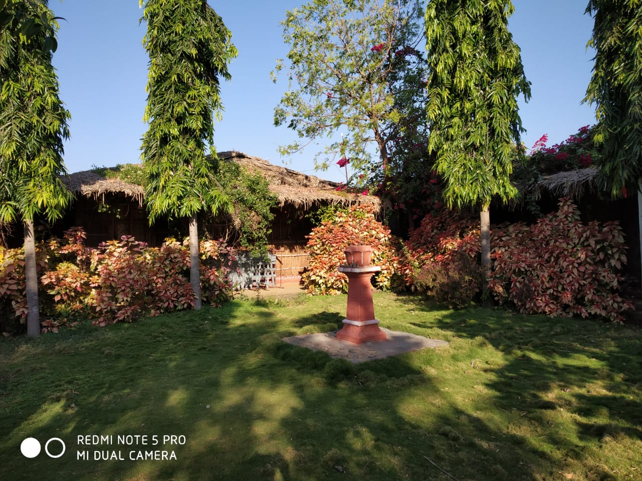 कृषी पर्यटनातून तरुणाने गावाला दिली आंतरराष्ट्रीय ओळख