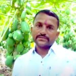 Video : खडकाळ रानावर फळबाग; वर्षाला होते कोटीची उलाढाल
