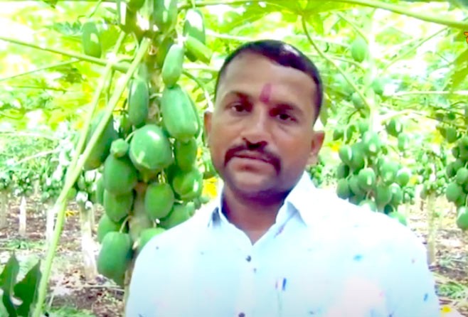 Video : खडकाळ रानावर फळबाग; वर्षाला होते कोटीची उलाढाल