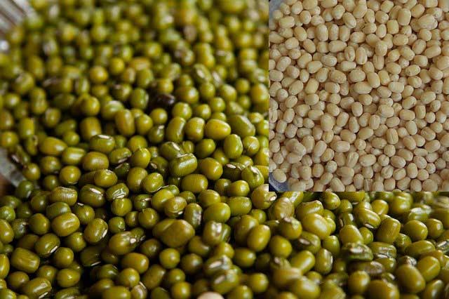 मूग आणि उडीद किंमतीत वाढ
