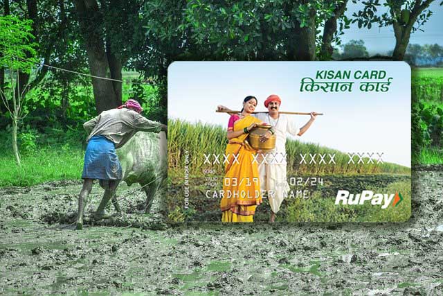 187.03 लाख किसान क्रेडिट कार्डांचे वितरण