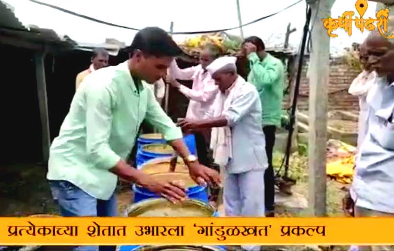 Video : लिंबेवडगावच्या शेतकऱ्यांचा \’सेंद्रीय\’ शेतीचा वसा