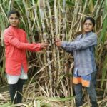 Success Story: नांदेड सिस्टर्स शेतकऱ्यांच्या आयडॉल