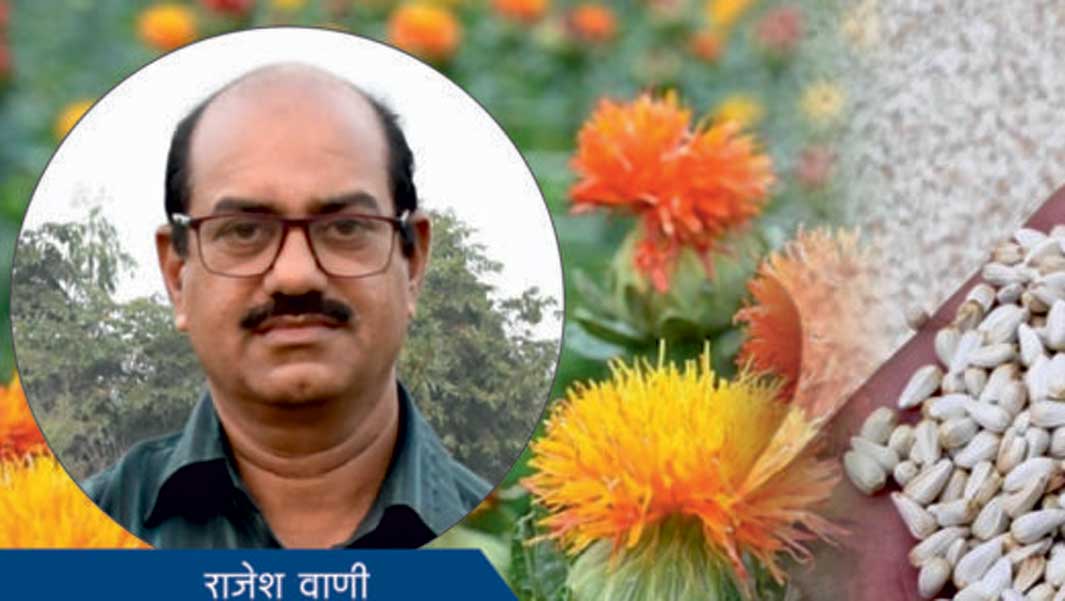 करडई पिकानं दिली साथ