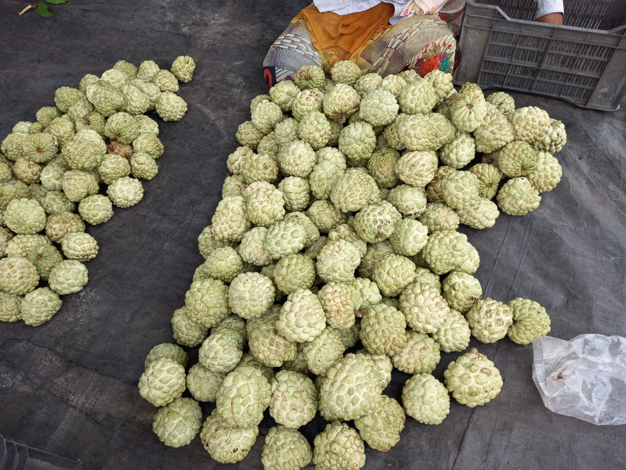 या फळाचा नाद केला…अन समृद्धी आली…!!