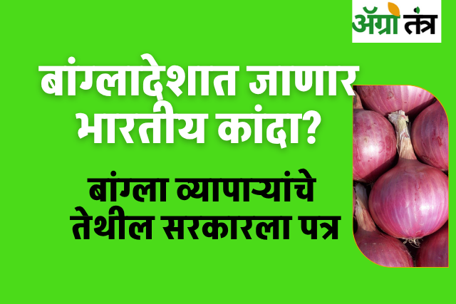 बांगलादेशात कांद्याची टंचाई: भारतातून कांदा निर्यात होण्याची शक्यता